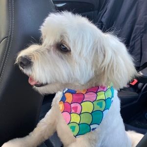 Meet your Posher, Heather